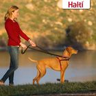 Halti Arnés de Adiestramiento Antitirones para perros, , large image number null